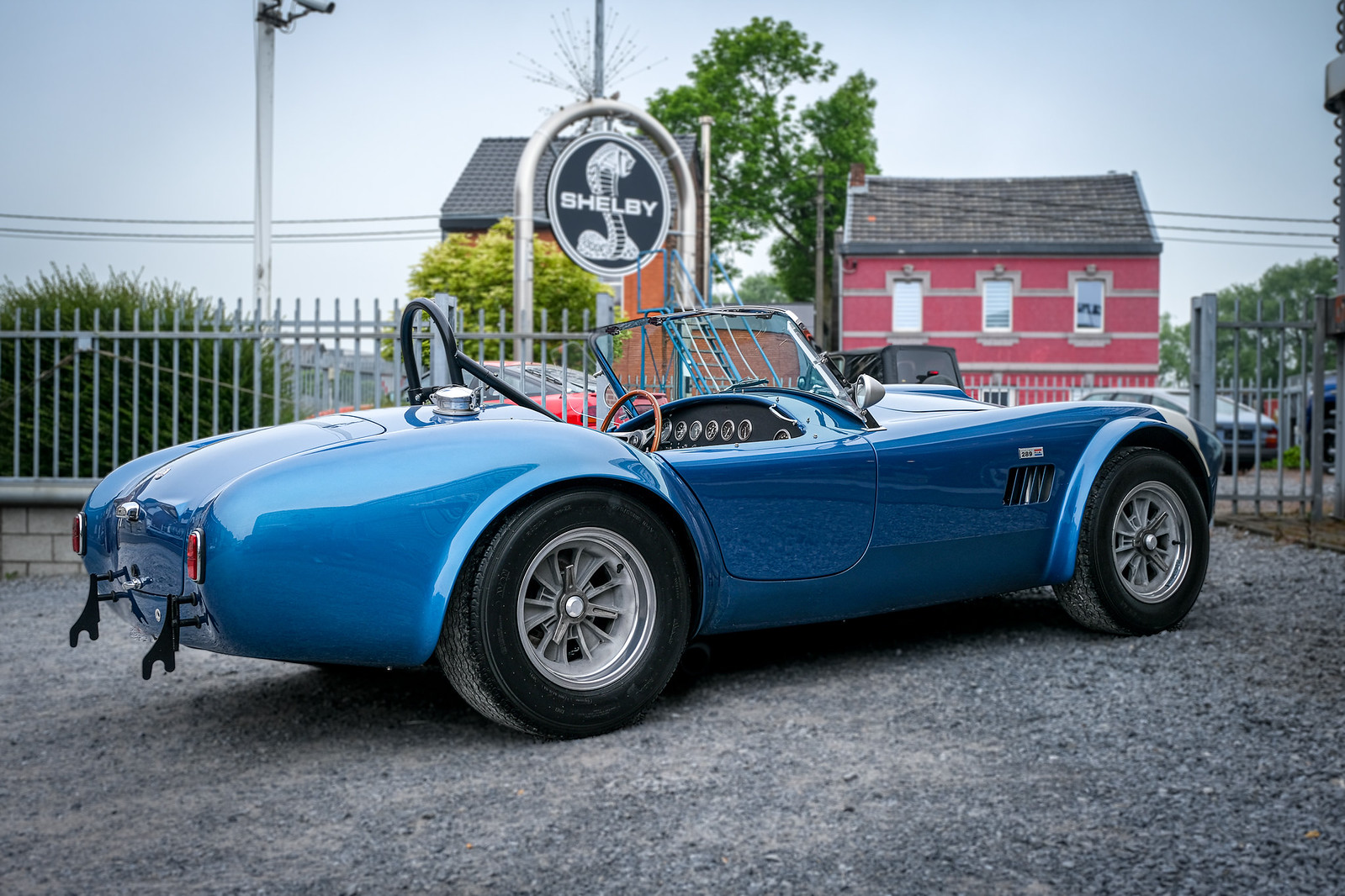 Shelby Cobra 289 FIA Bleue (1)